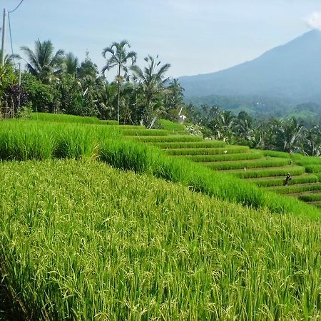 קוטה לומבוק Zen Rooms Badung Nyangnyang Sari מראה חיצוני תמונה